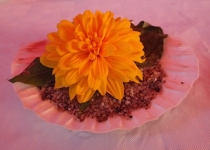 10 Jahre KPV (2015) | Foto: Heike Sichting