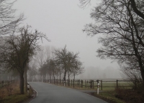 2013 03 10 vor Kleinliebenau HS (3439)